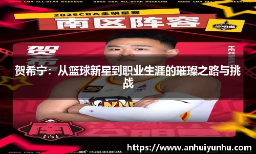 贺希宁：从篮球新星到职业生涯的璀璨之路与挑战