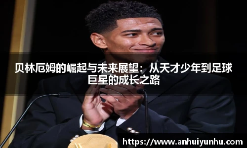 米乐·M6官网